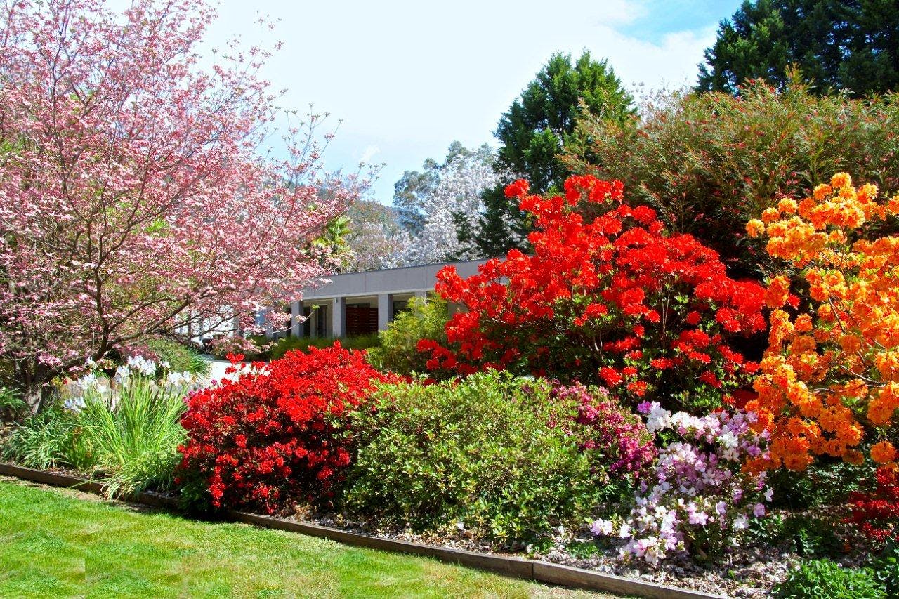 Stunning Spring garden