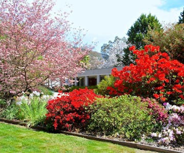 Stunning Spring garden