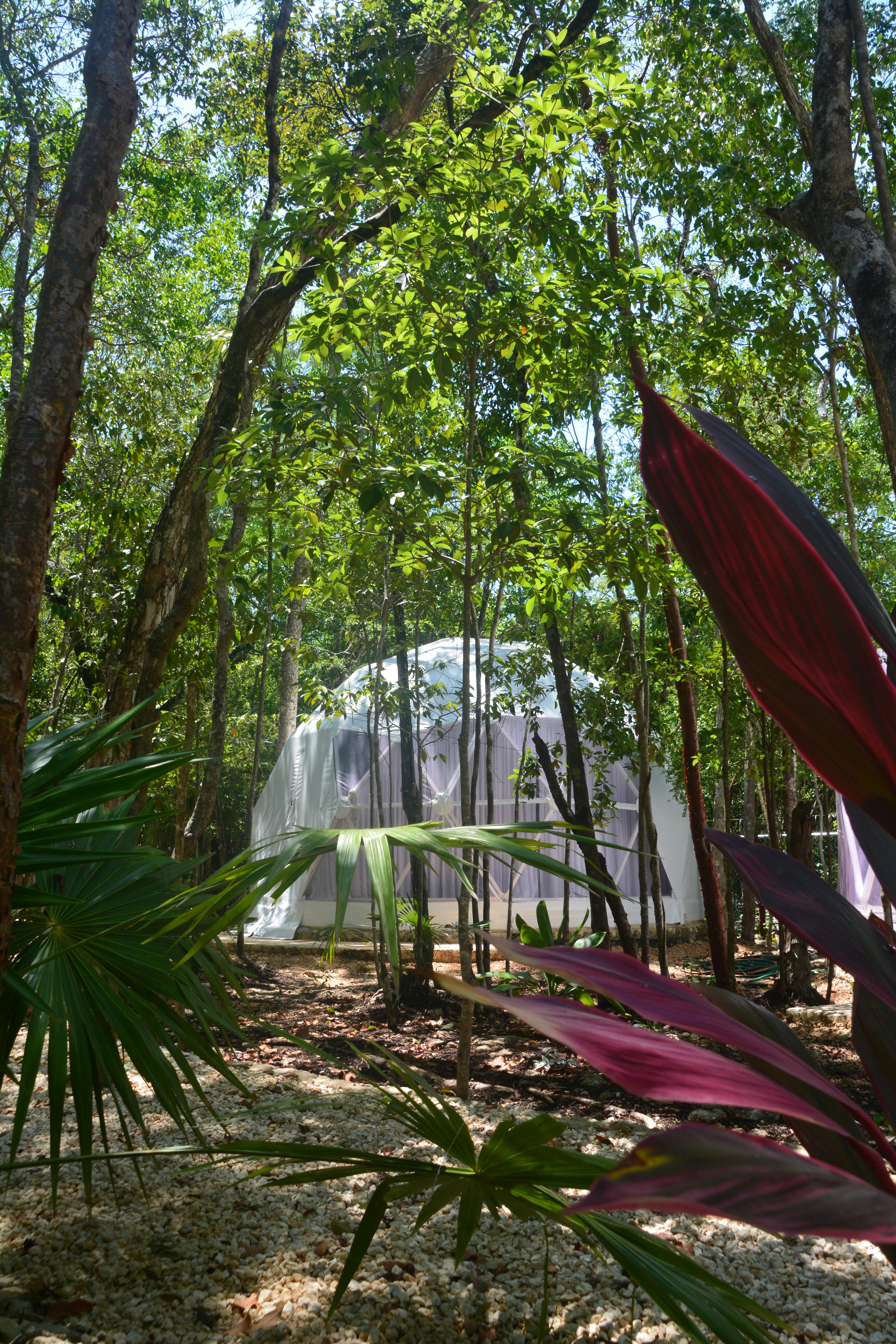 Domo exterior Dome outside