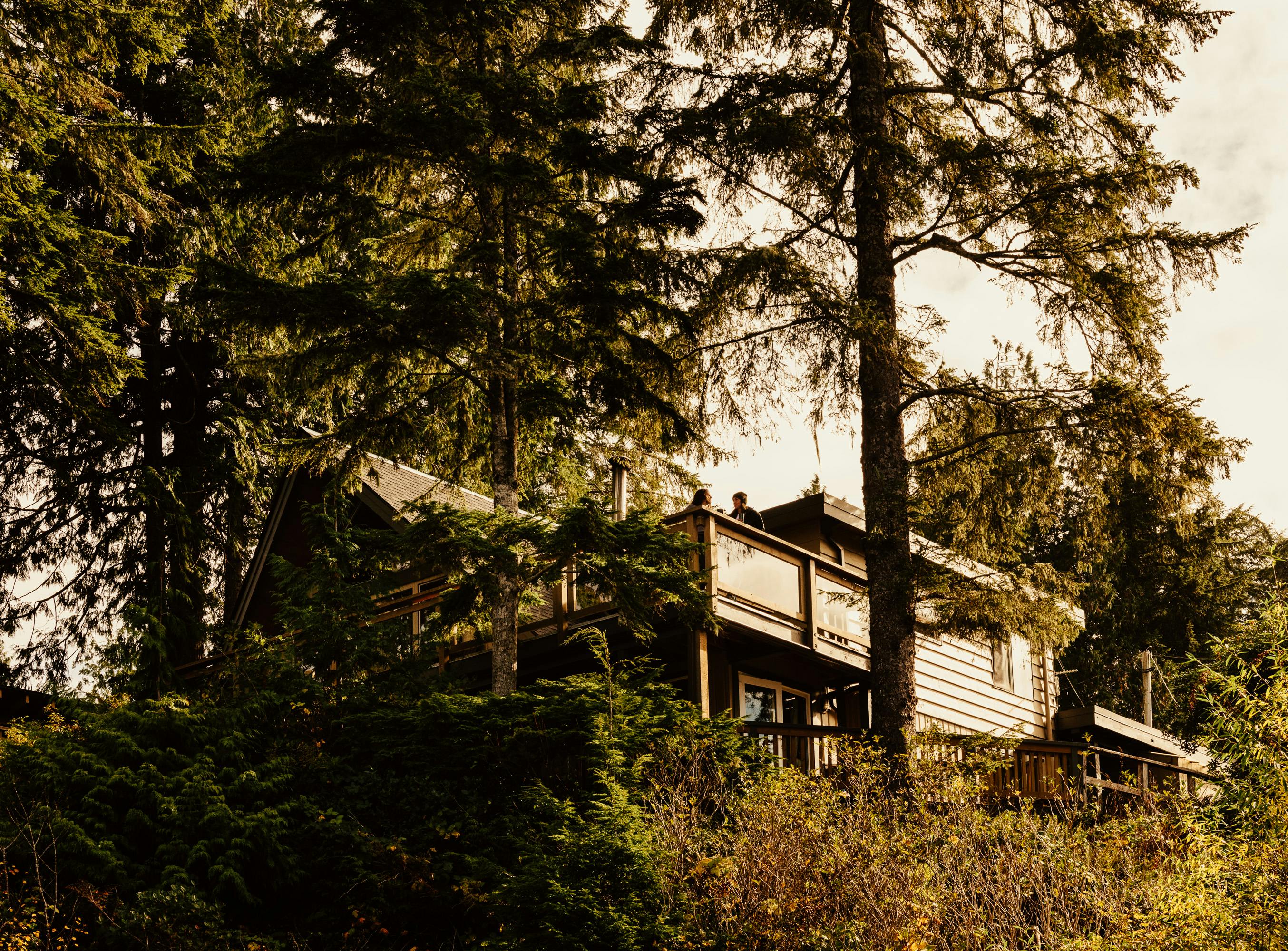 the shoreline tofino