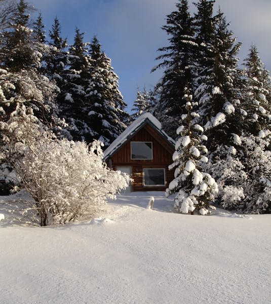 Lakeview Cabin in Winter