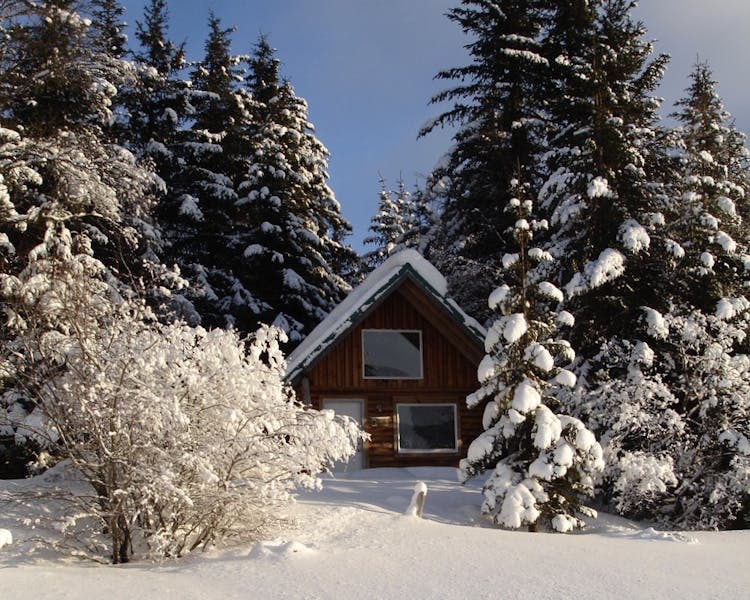 Lakeview Cabin in Winter