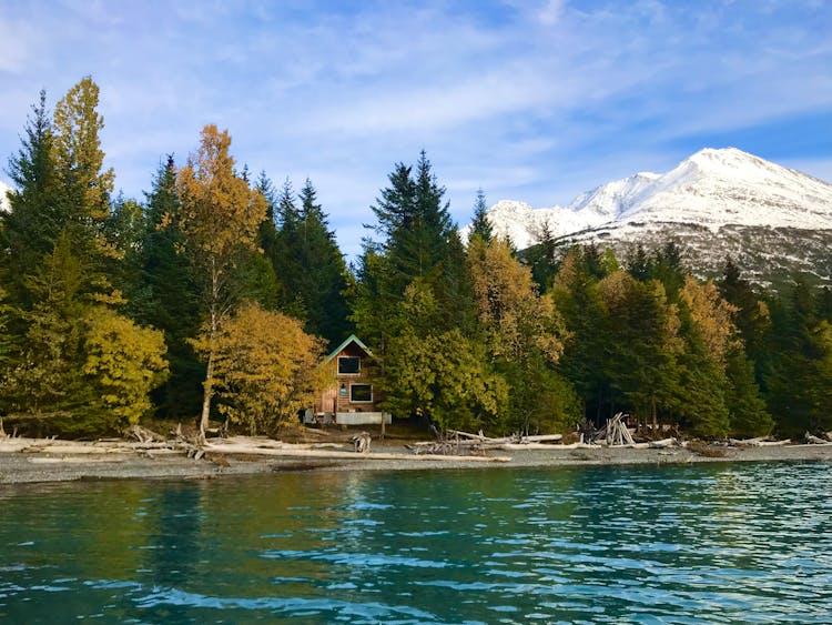 View of Lakeside Cabin from Kenai Lake