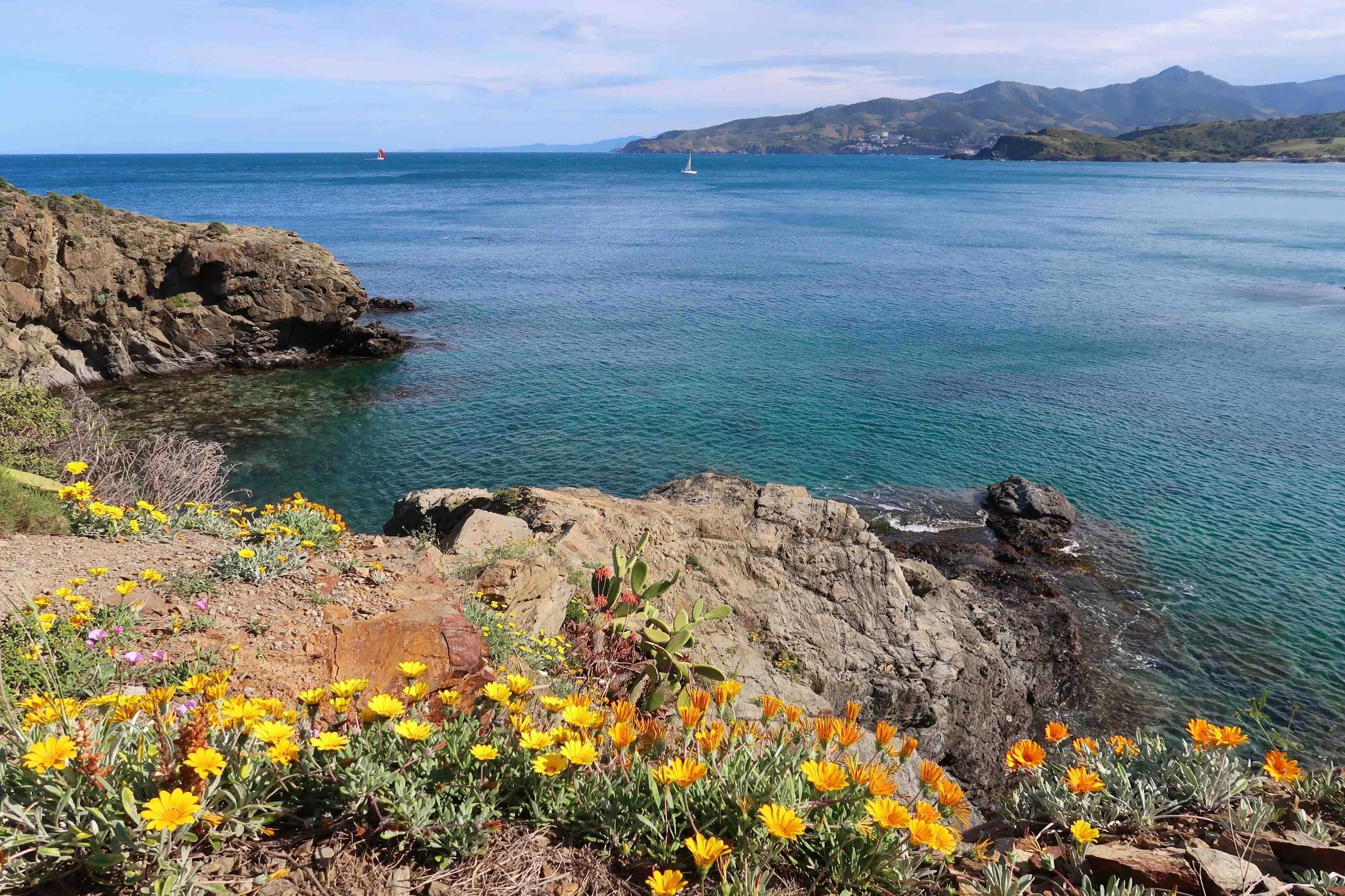 anse sainte catherine dans les pyrennees orientales