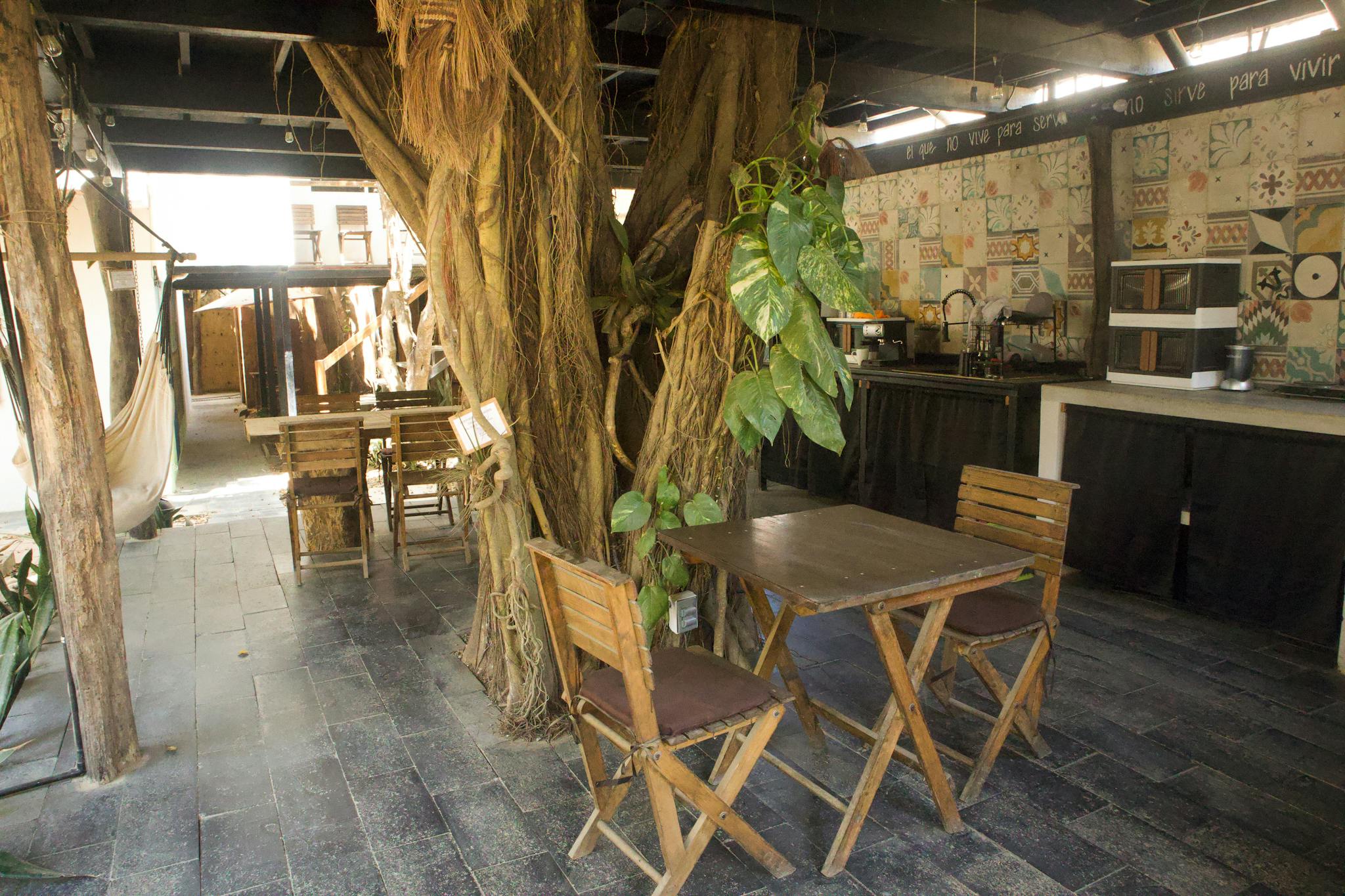 Hotels In Sayulita Mexico