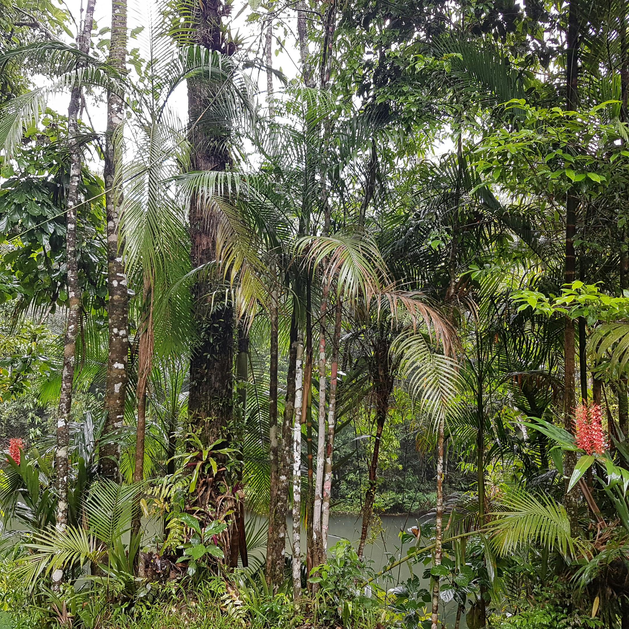 Vista do Chalet do Lago