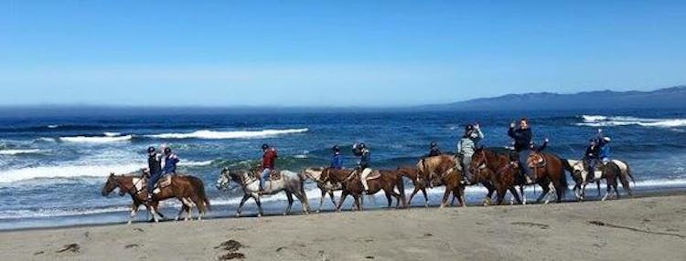 Rent a room and enjoy yourself Bodega Bay Inn