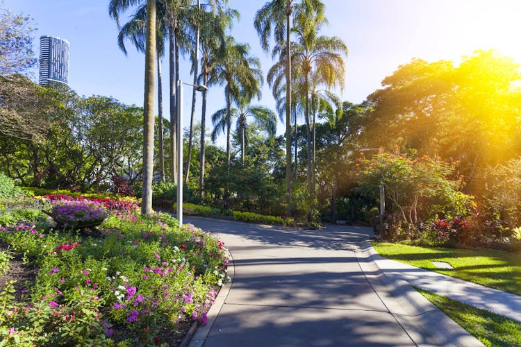 City Botanic Gardens Brisbane City Queensland