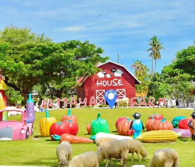 Pattaya Sheep Farm