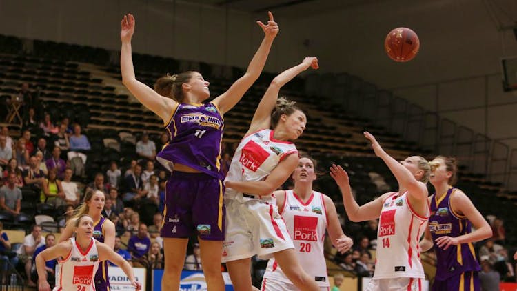 Quality Inn & Suites Knox, - State Basketball Association