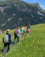 Wandelaars in het kindervriendelijke dal van Rauris bij Zell am See