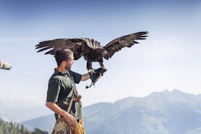 Mann bei Greifvogelschau Rauris mit Adler