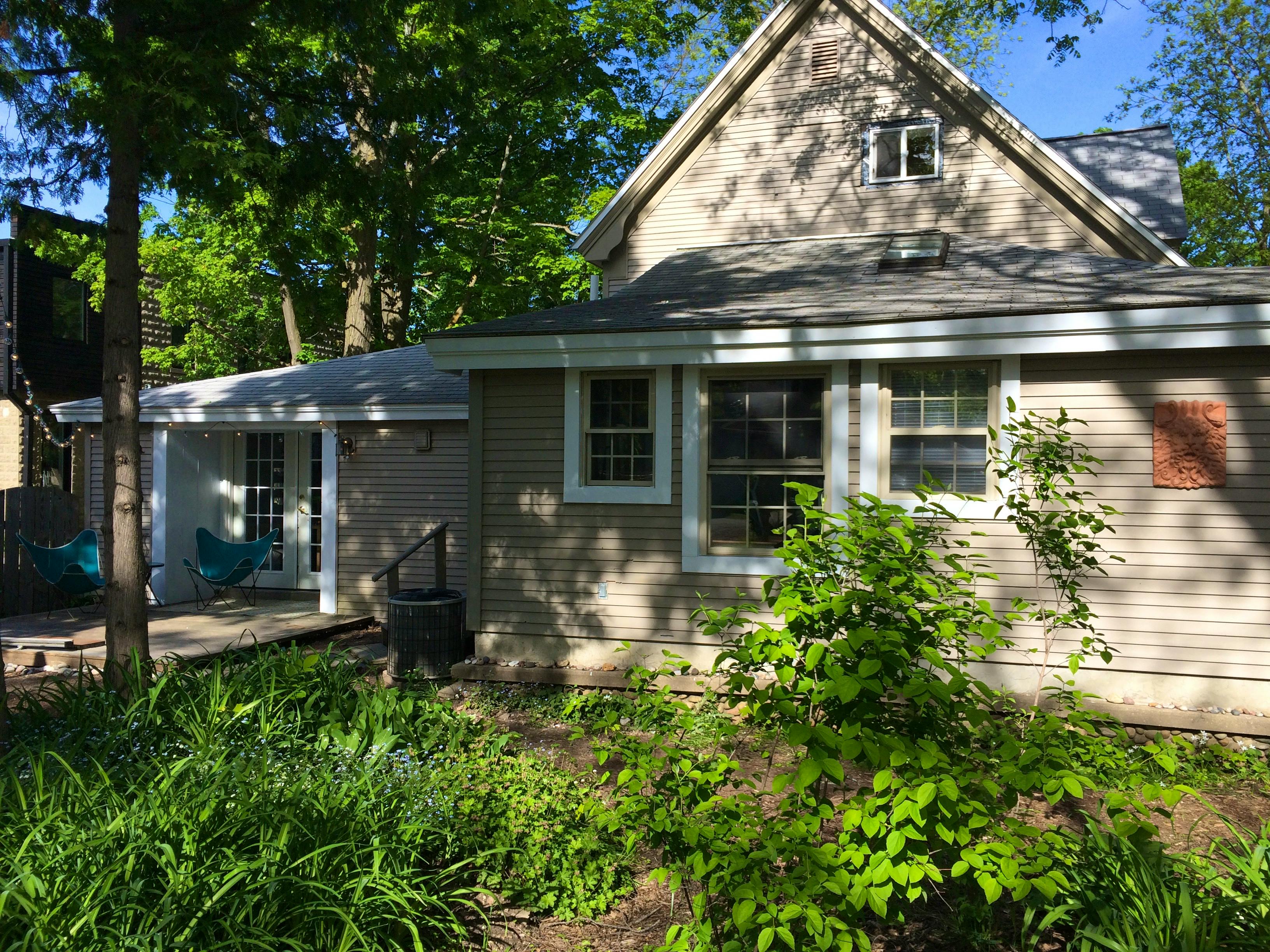 Shady backyard