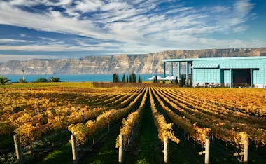 elephant hill winery