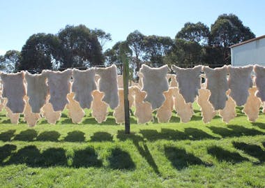 classic sheepskins napier