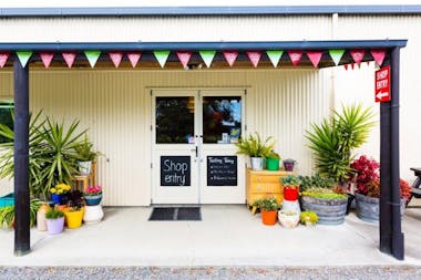 telegraph hill olivery napier