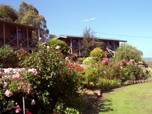 Self-contained cabins in summer