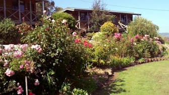Self-contained cabins in summer