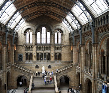 The main hall of the Natural History Museum