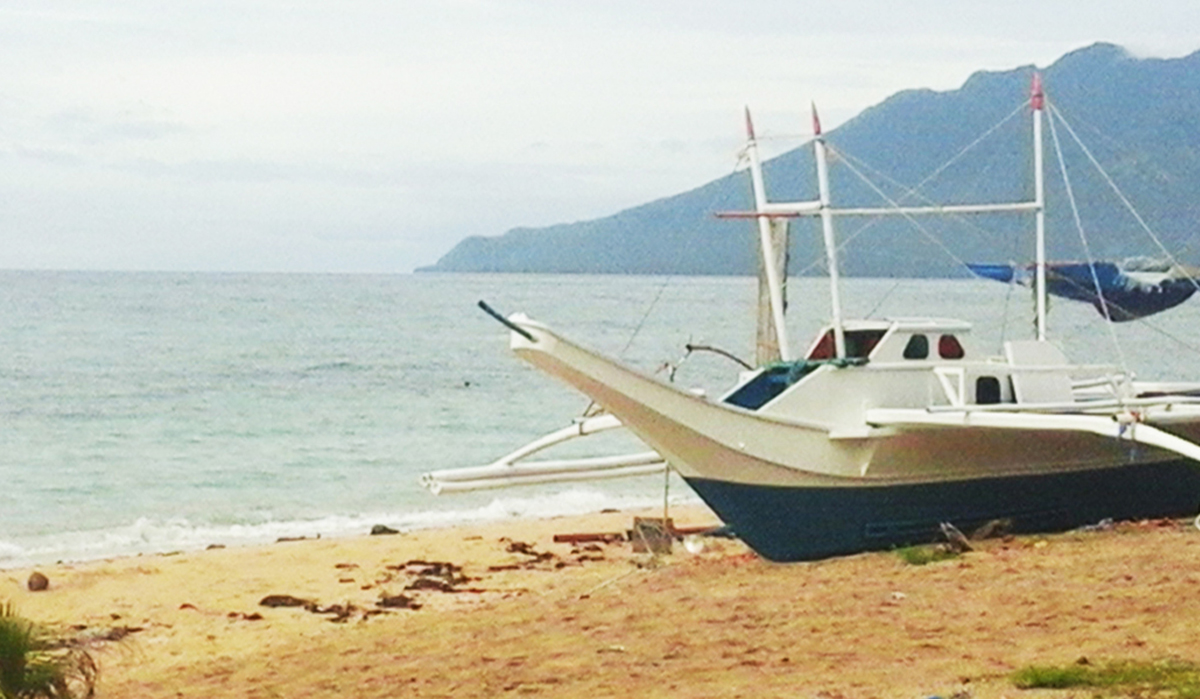 Joey's Crib Beach Hostel Poctoy Beach