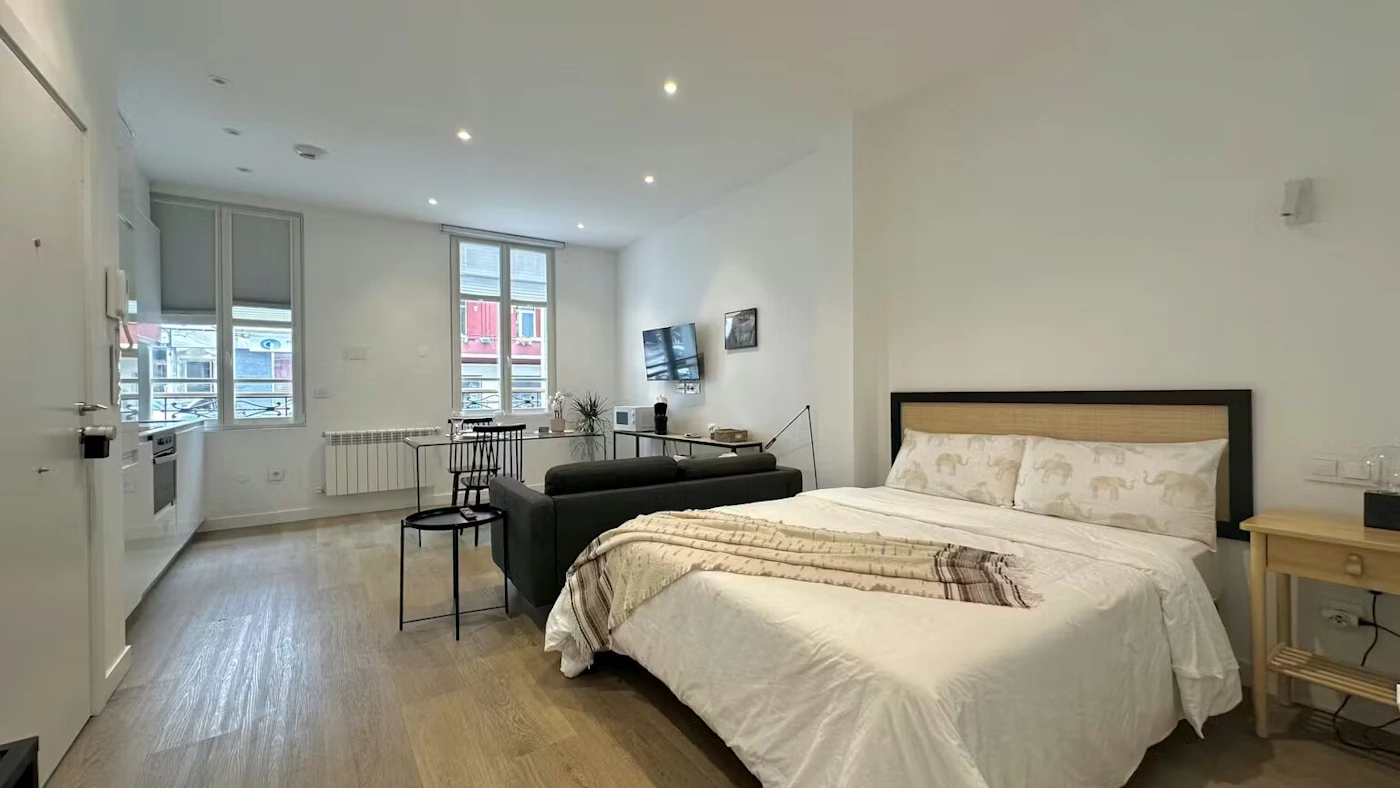 Studio As Lapas en Coruña Flat