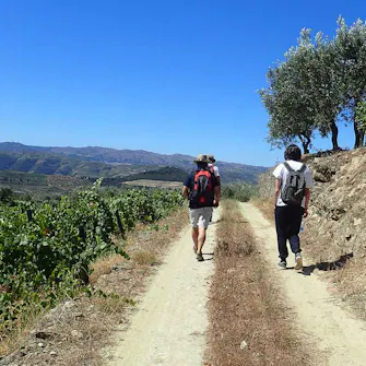 Caminhadas