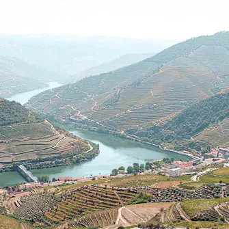 Miradouro Casal de Loivos
