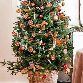 Árvore de Natal