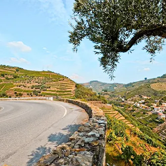 Estrada nacional 222 em Portugal