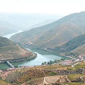 Miradouro Casal de Loivos