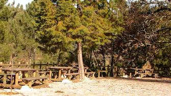 Serra das Meadas em Lamego