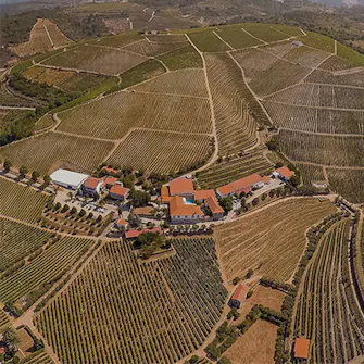Quinta seara d'ordens