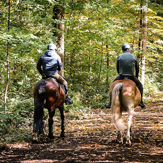 Passeio a Cavalo