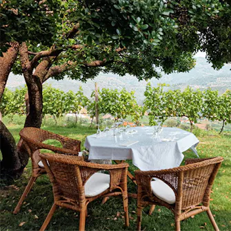 Quinta da Portela