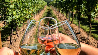 Vinhos do Douro