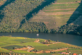 Vista do Rio Douro e Vales