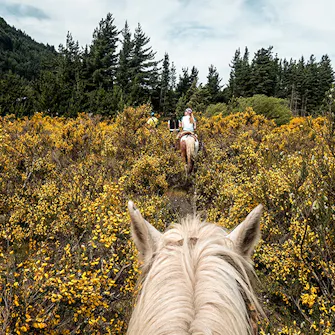 Passeio de cavalo pela serra