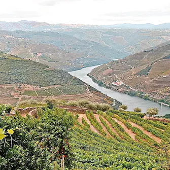 Região Douro