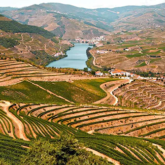 Paisagem do Douro
