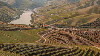 Douro