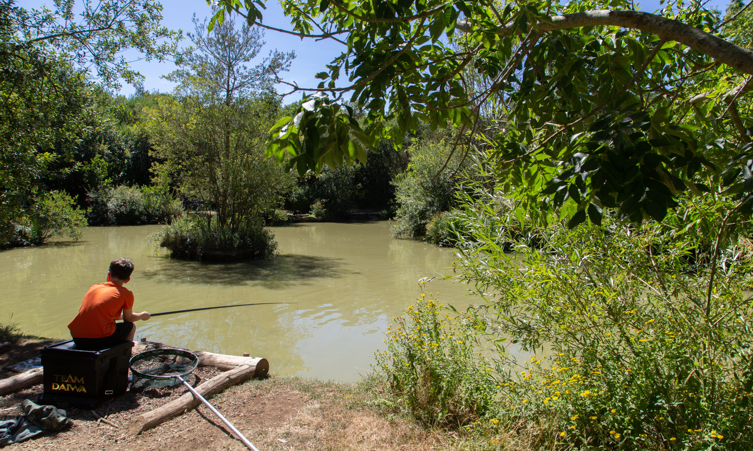 Diverse Fishing at Panshil near Oxford: Carp, Catfish, Commons, Mirror. You can come here for tournaments and night swim
