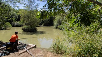 Diverse Fishing at Panshil near Oxford: Carp, Catfish, Commons, Mirror. You can come here for tournaments and night swim