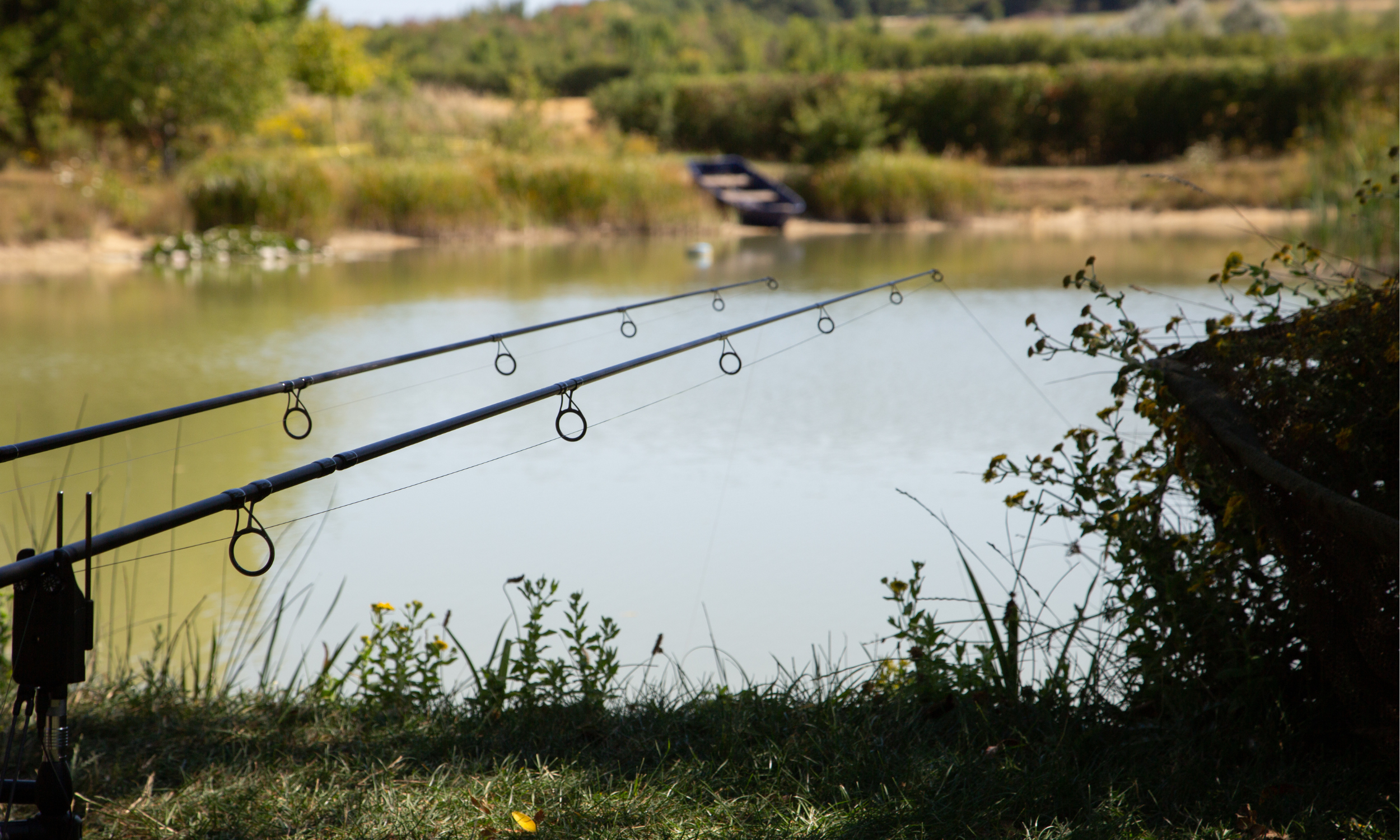 Carp Anglers' Paradise: Explore Panshill's Coarse Lakes.