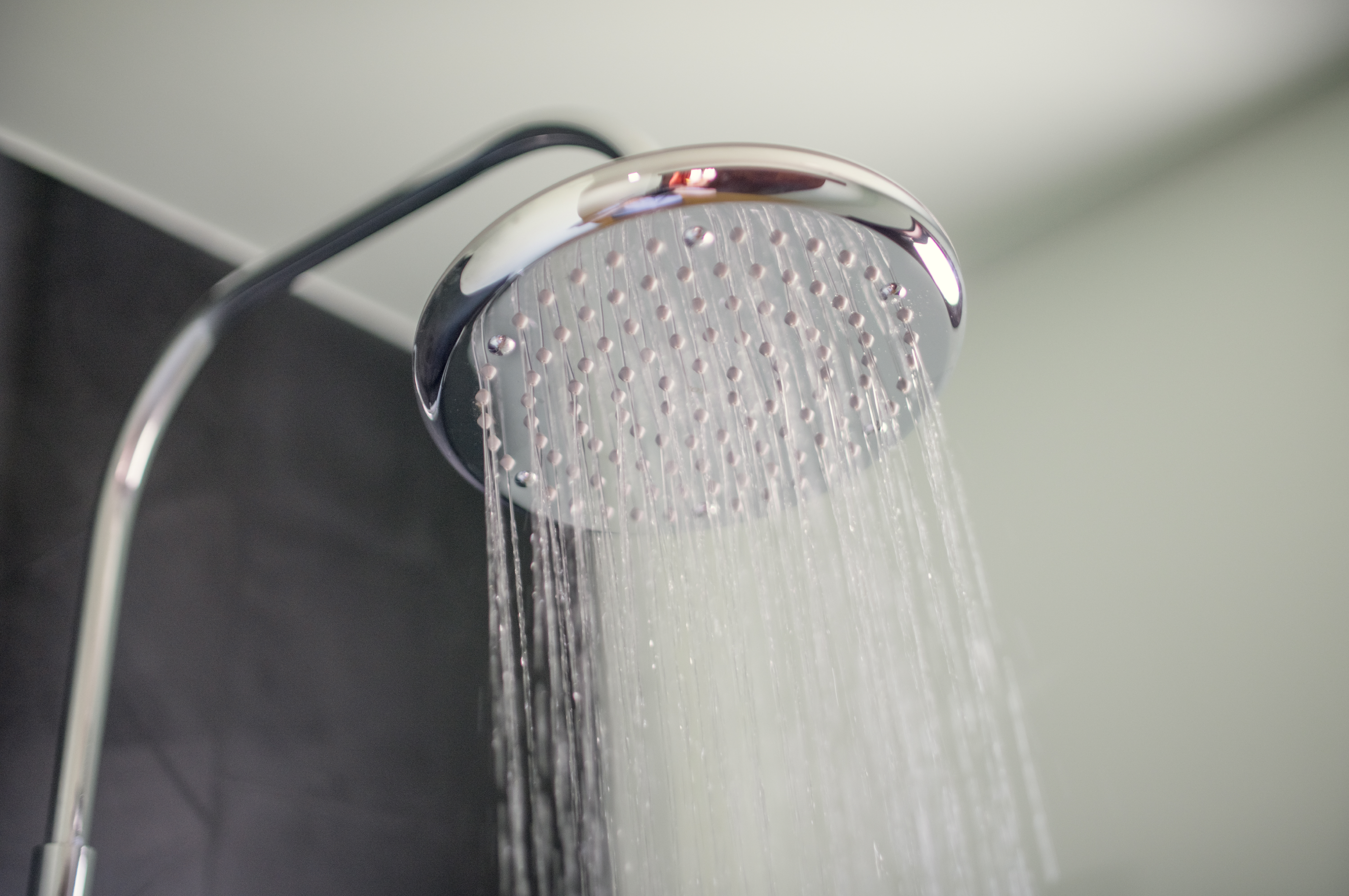 Parasol Blanc hotel rain shower head