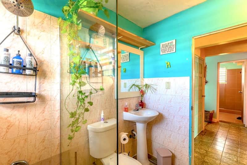 Natural Water Shower