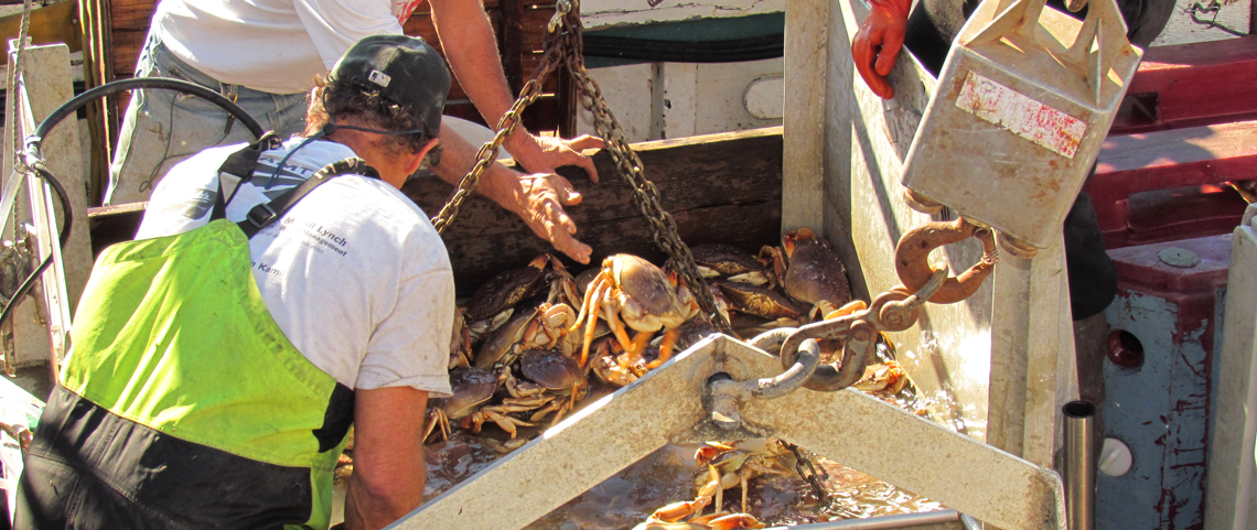 Crab boat