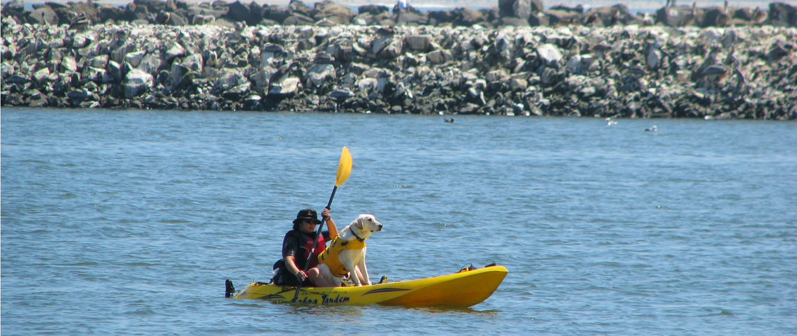 Harbor kayaker with dog