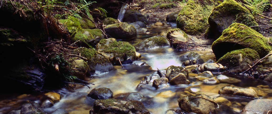 Stream with rocks