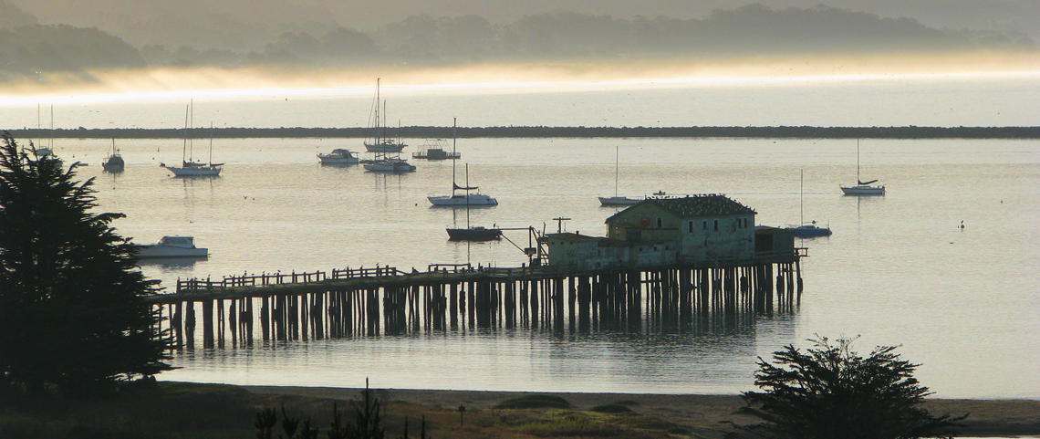 Pillar Point Harbor on a grey day