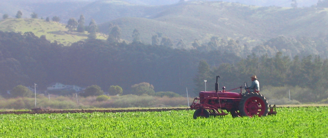 Tractor in field